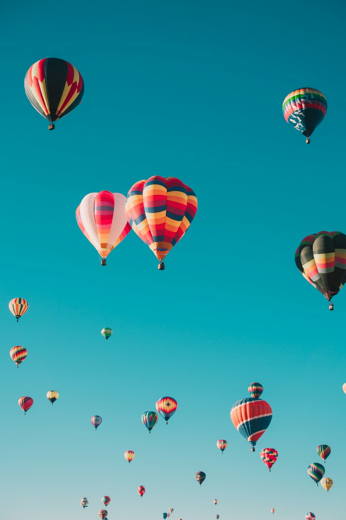 Hot air balloons drifting over open country at sunrise